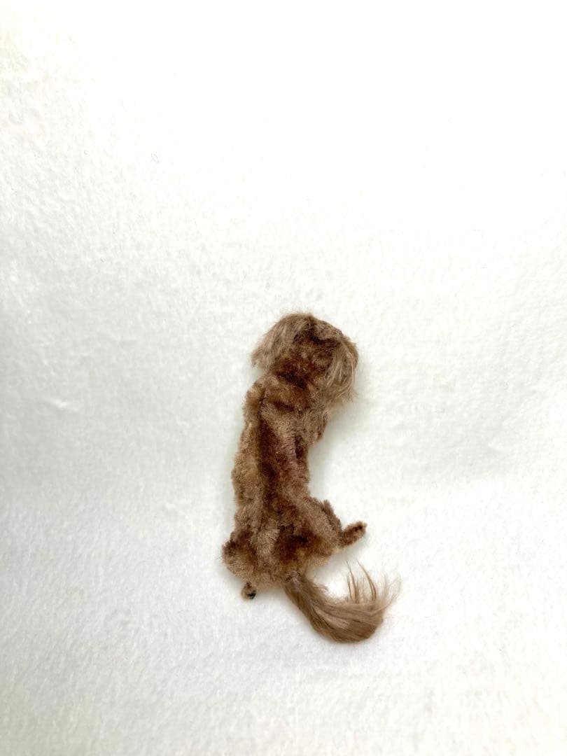 モールアート☆ミニダックス☆へそてん