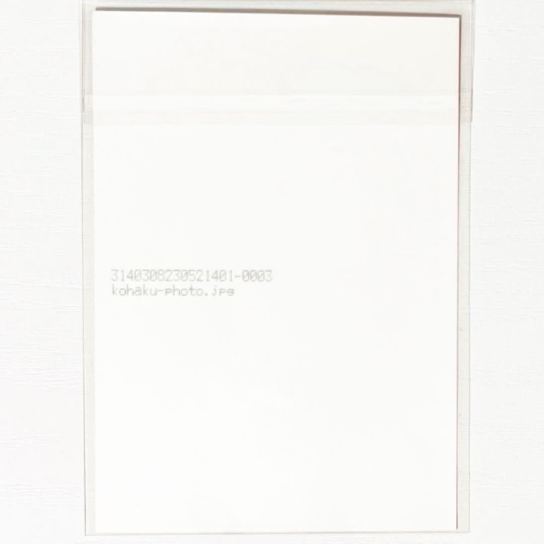 新品★V系★NEVERLAND★twilight★特典★ブロマイド★4点セット