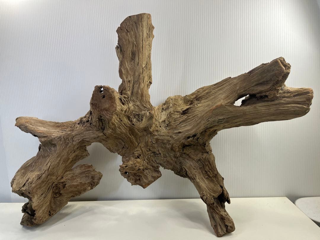 m77大型流木 アク抜き済み 爬虫類シェルター レイアウト用 インテリア 登り木