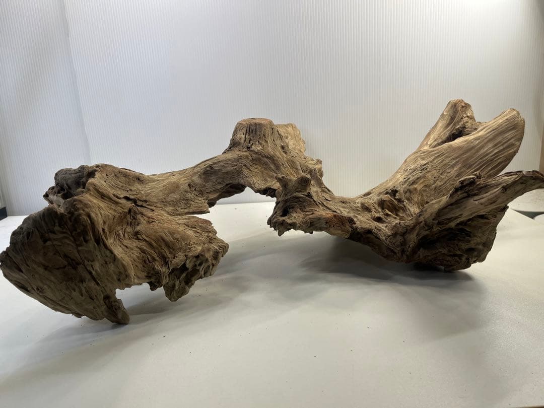 m77大型流木 アク抜き済み 爬虫類シェルター レイアウト用 インテリア 登り木