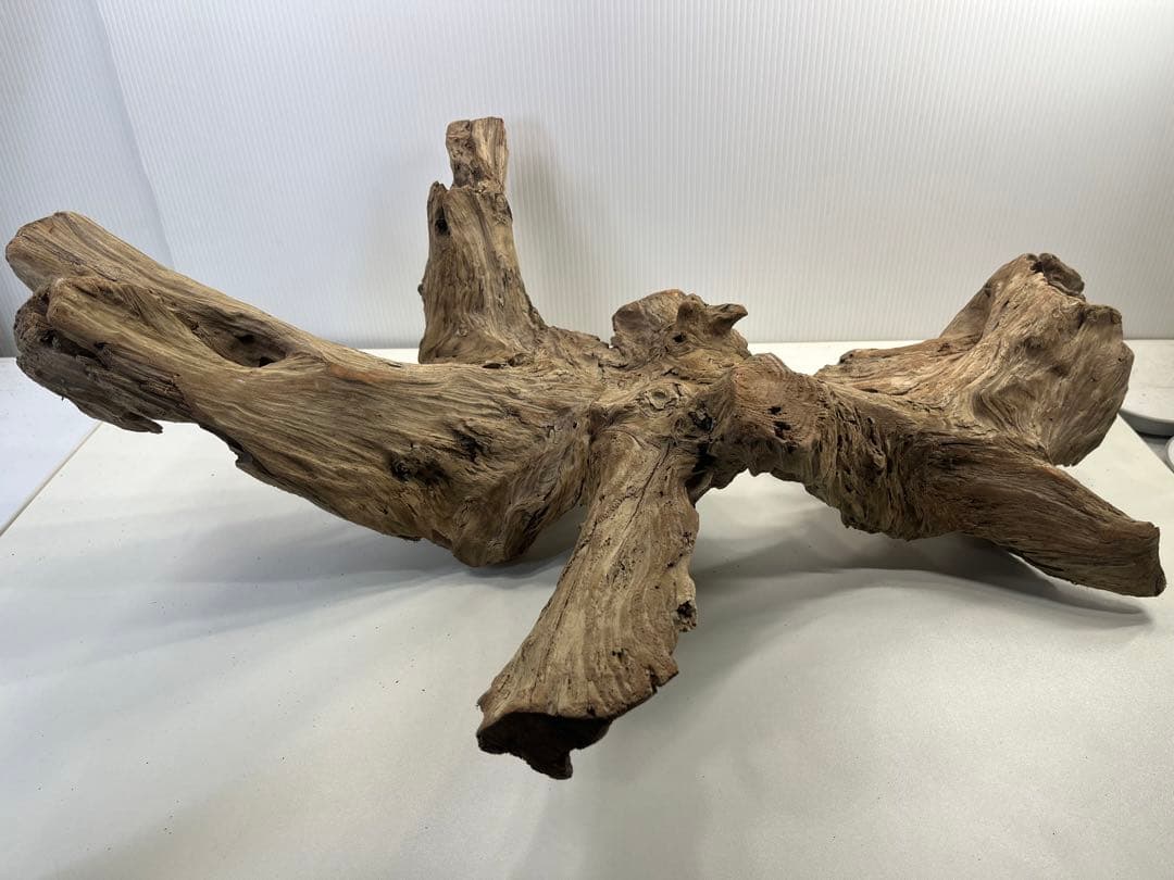 m77大型流木 アク抜き済み 爬虫類シェルター レイアウト用 インテリア 登り木