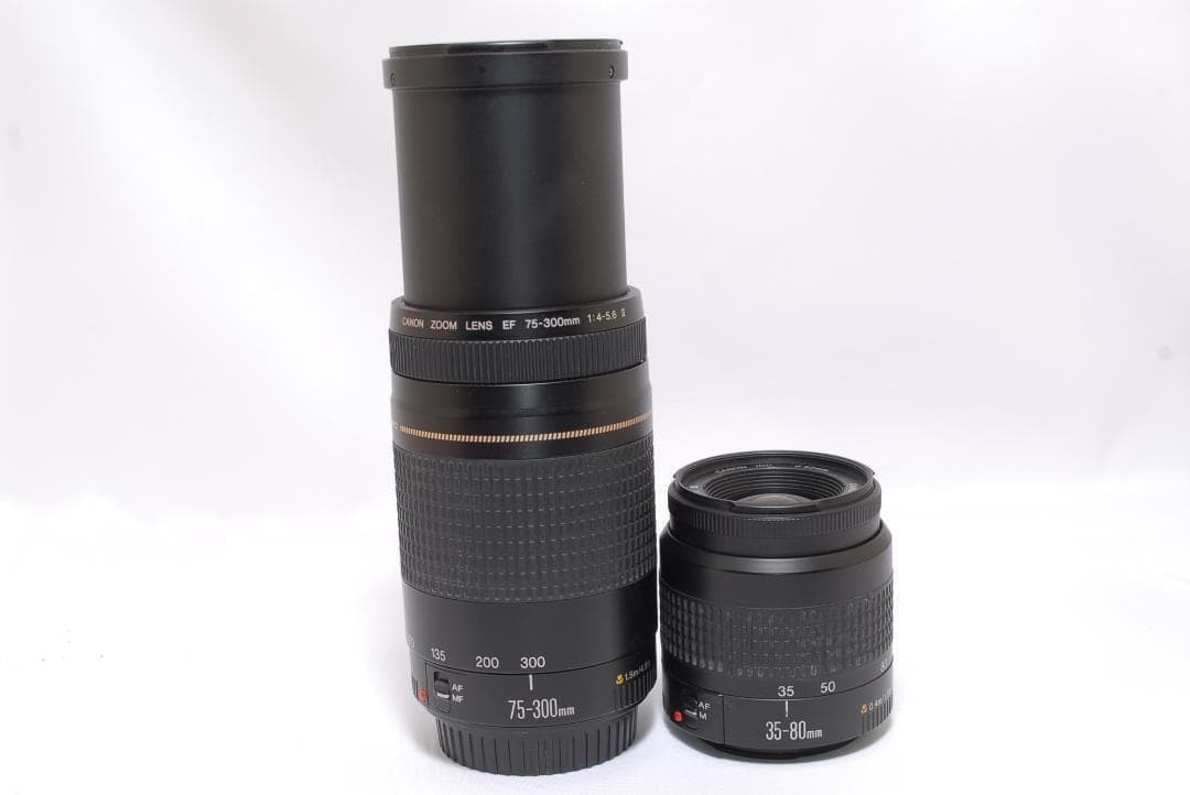 ⭐️すぐに始めれる　遠近両方⭐️Canon kiss x2 ダブルレンズセット