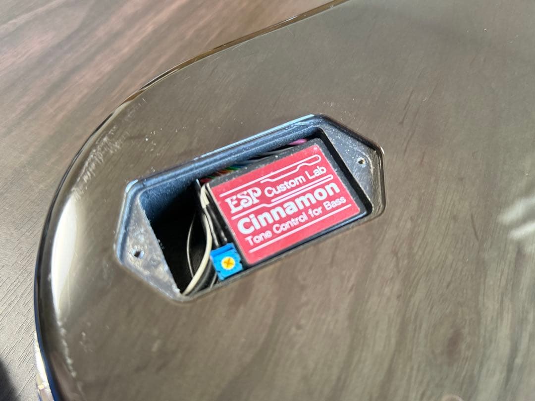 【キルトメイプル】ESP AMAZE-CTM QM【弦交換セットアップ済】