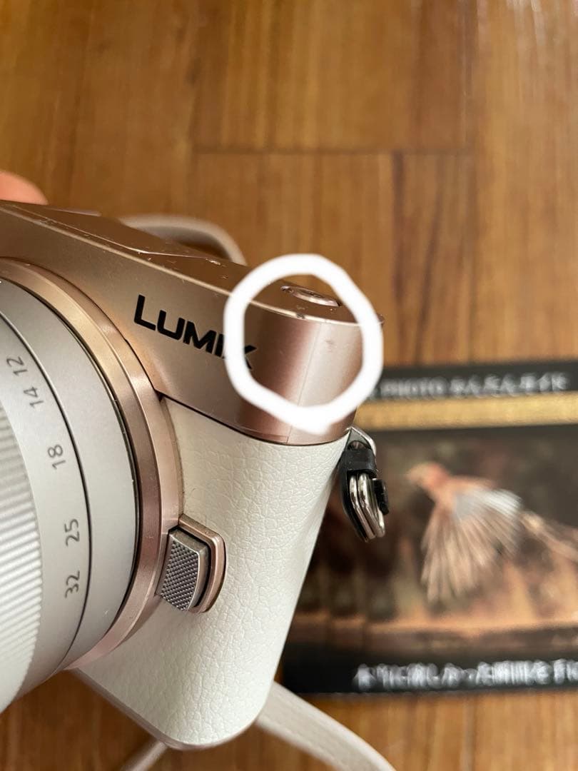 ❣️週末限定値下げ❣️LUMIX ミラーレスカメラ DC-GF10