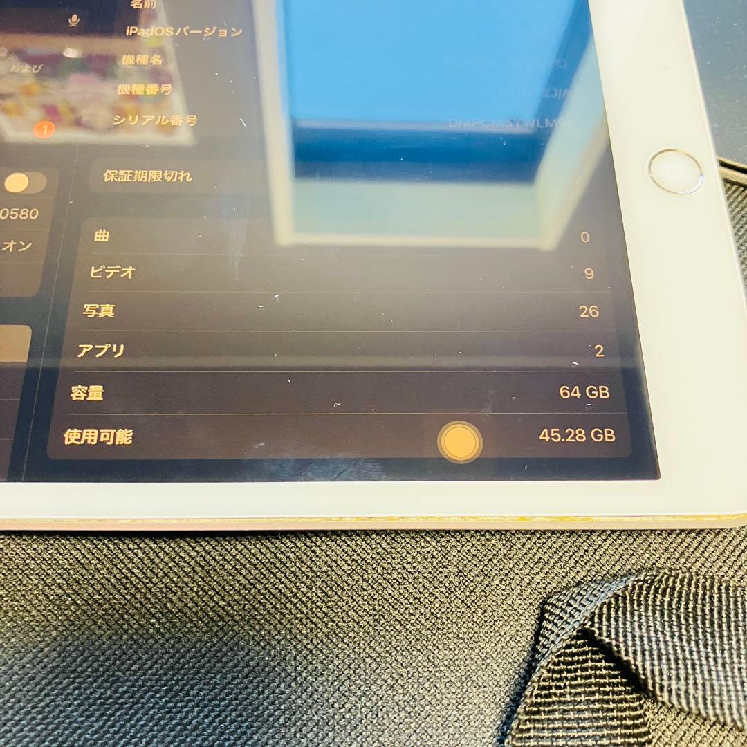【画面浮きジャンク】iPad mini 5 64GB バッテリー100%