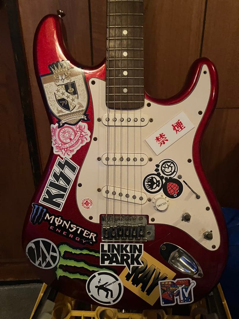 セルダー 改造 エレキギター フェンダーメキシコ製ピックアップ