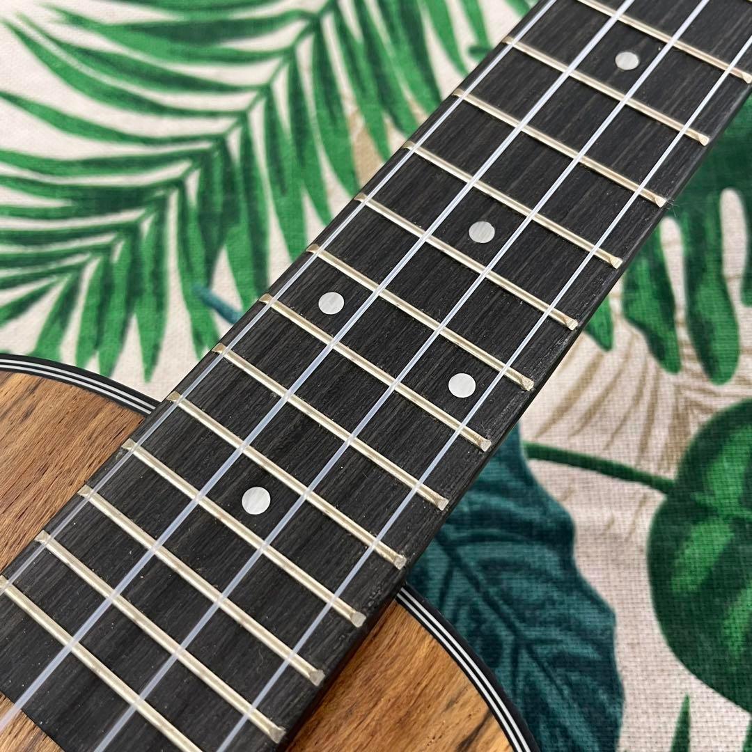 【入門セット】IRINのウォルナット材コンサート・ウクレレ【ウクレレ専門店】