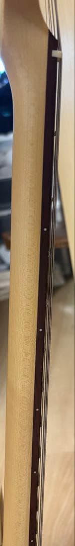 ギター Michael Kelly Guitars 59 thin line P-90