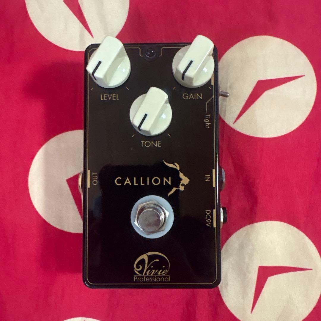 ギター Vivie CALLION