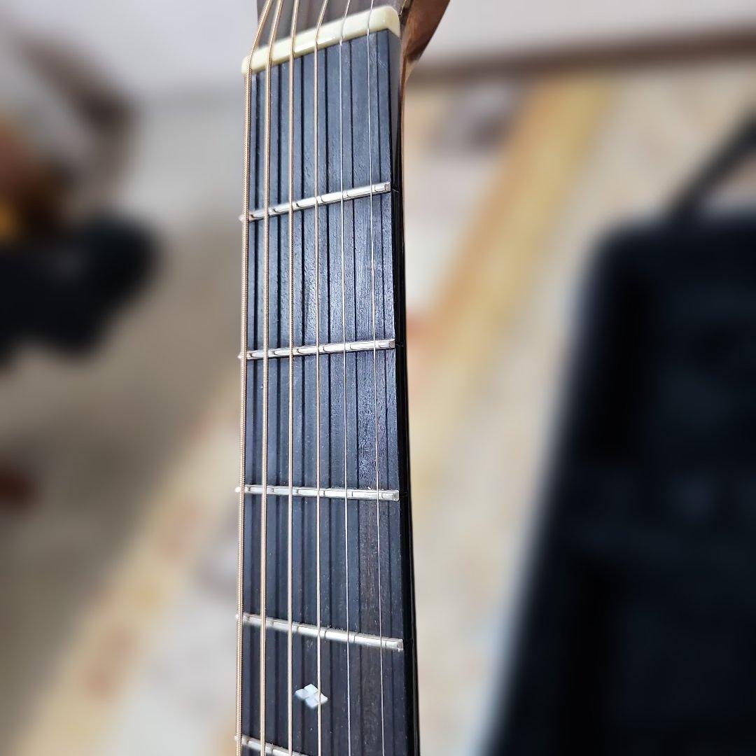 Cat's Eyes.CE118プロトタイプ オール単板。ハードケース付き