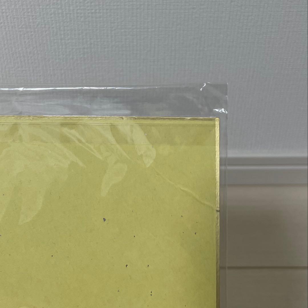 ポケモン 色紙 2種セット リーフ ゼニガメ ユウキ キモリ