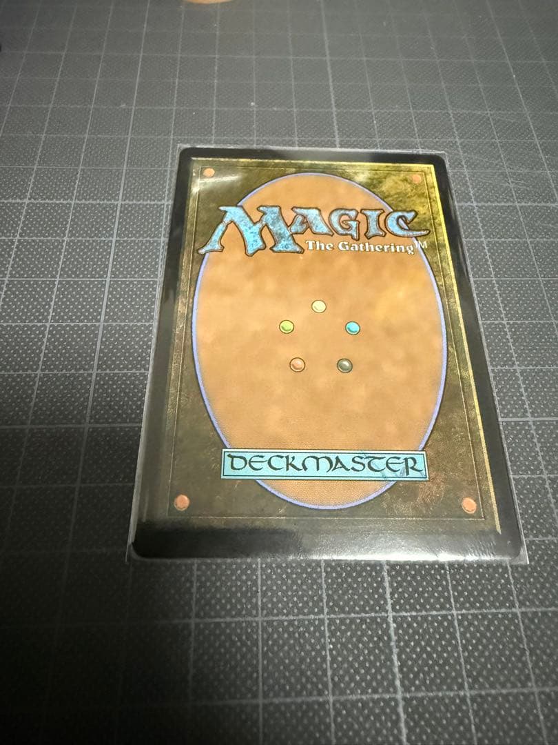 湿地の干潟　ドラゴンスケイルFOIL　日本語　MTG