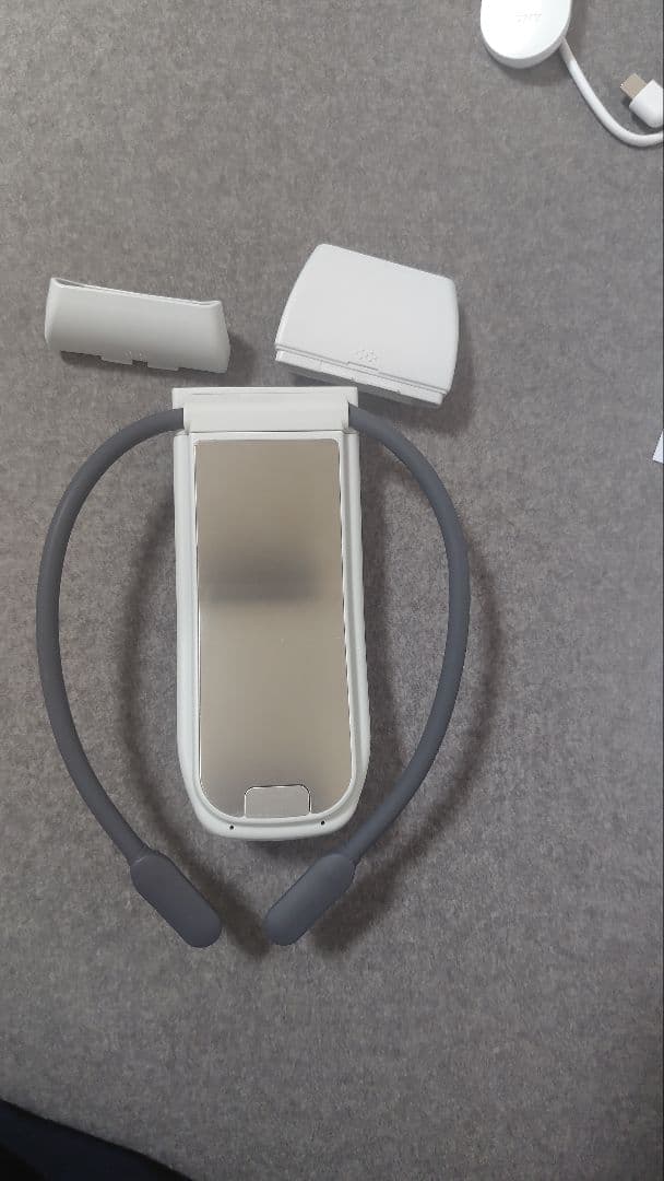 その他 REON POCKET PRO