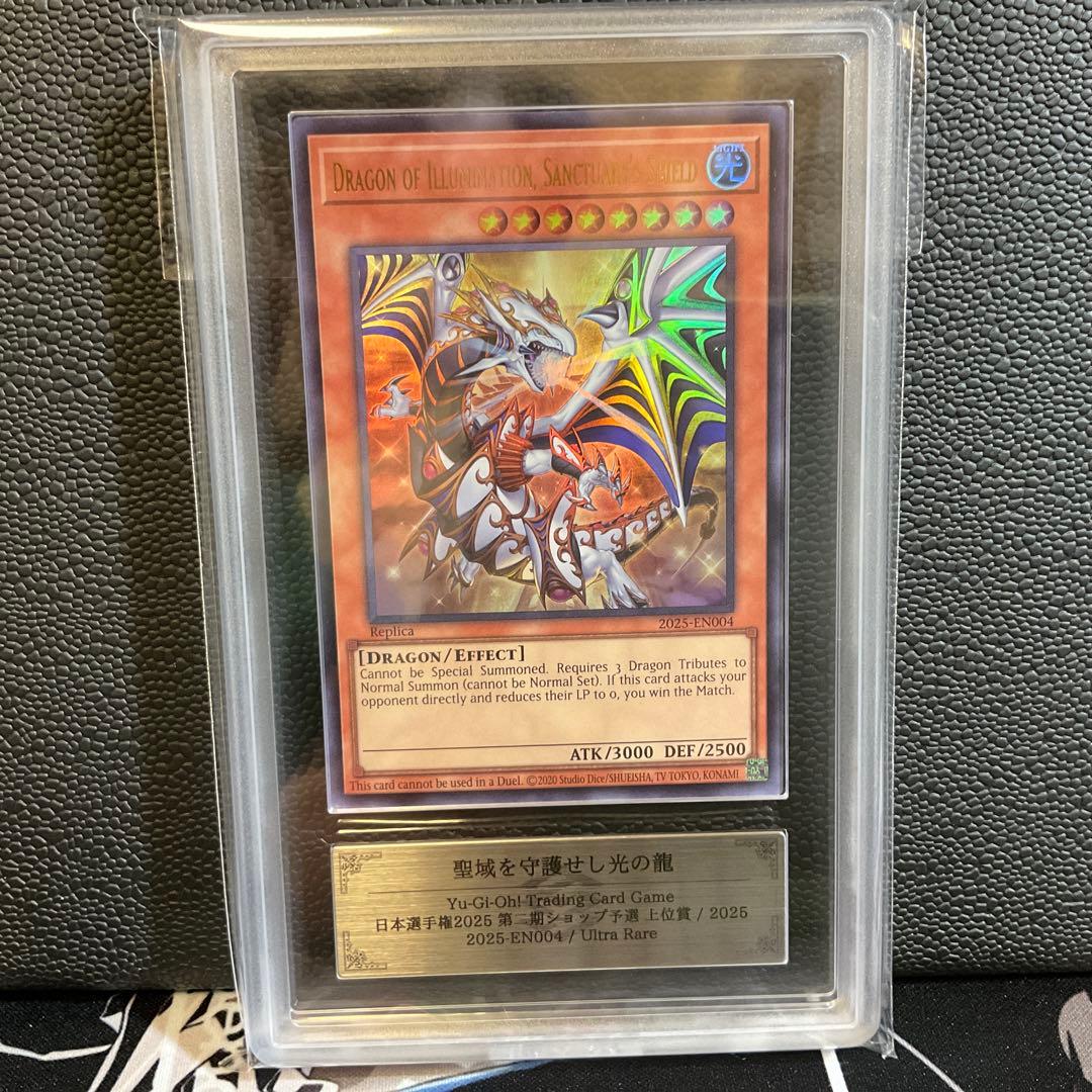 【ARS9】日本選手権2025 聖域を守護せし光の龍