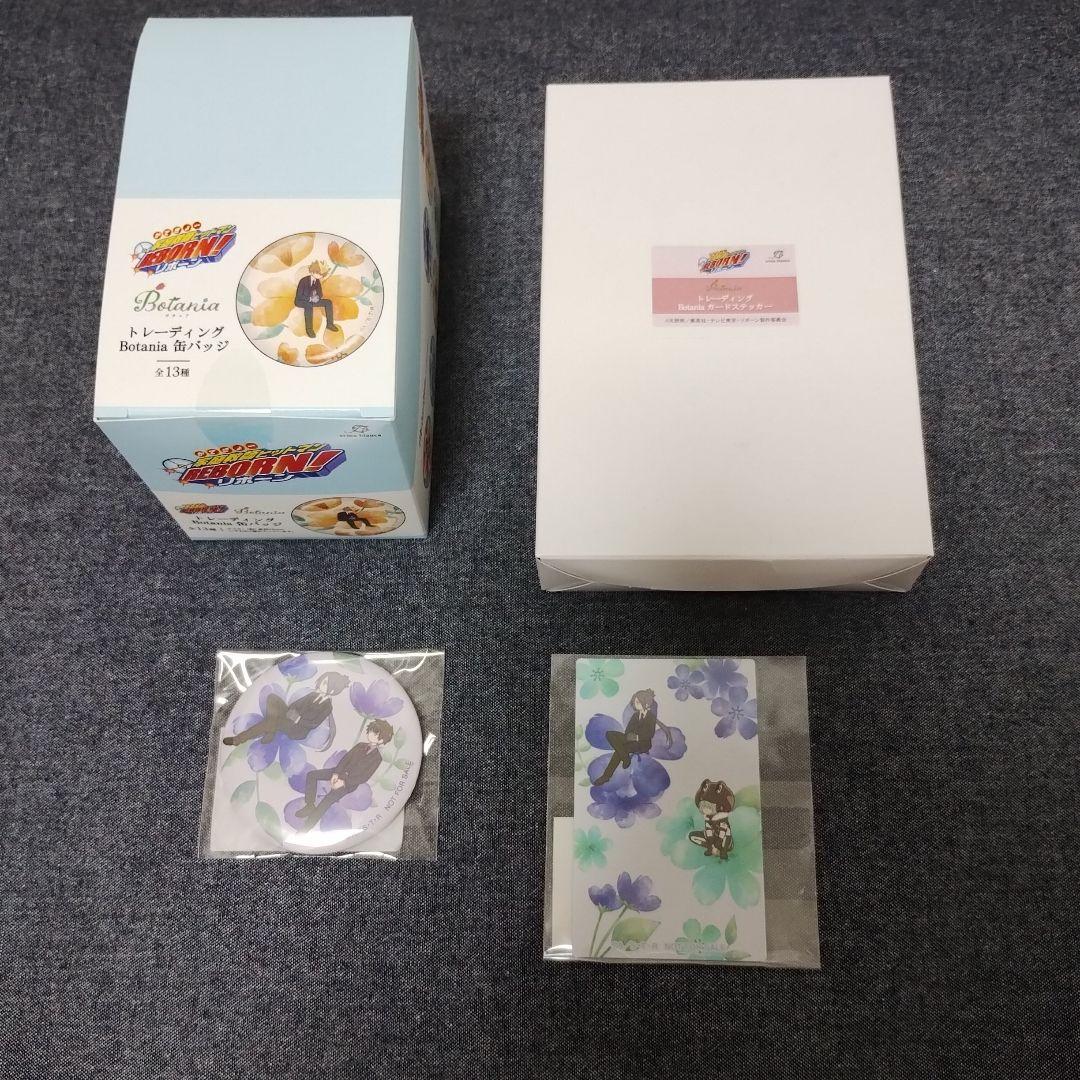 家庭教師ヒットマンREBORN!　botania 缶バッジ　カードステッカー