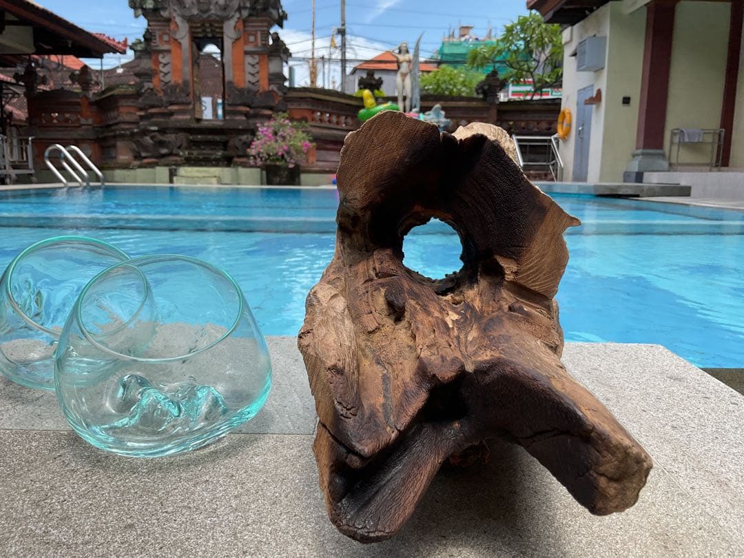 【新入荷】フィッシュボール(天然木ガラス水槽)Mサイズ2個口(穴空き)