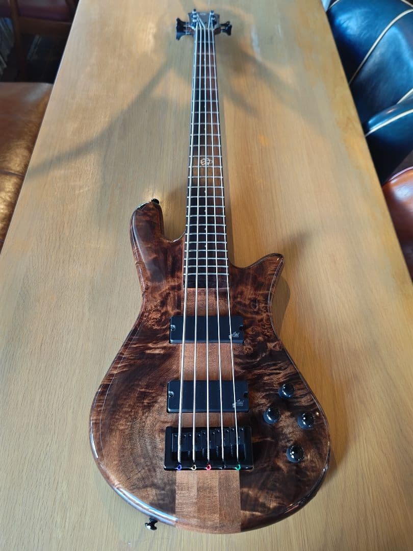 Spector NS ETHOS 5(最終値下げ)