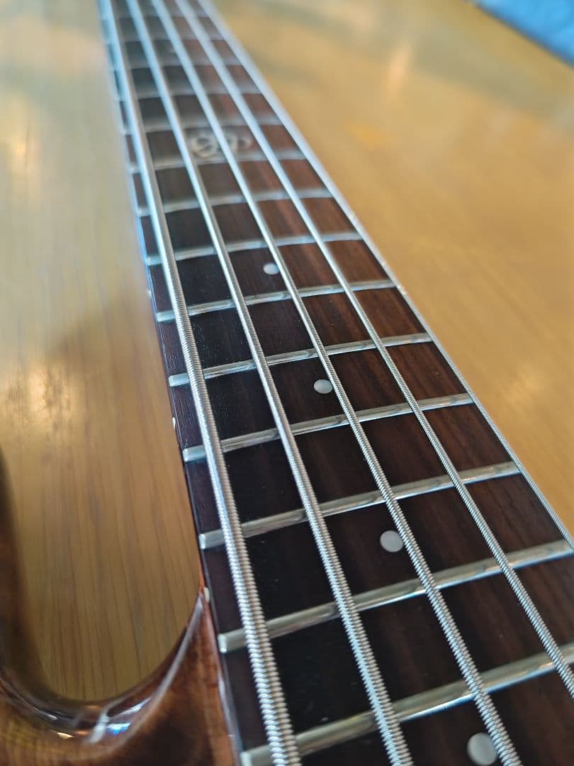 Spector NS ETHOS 5(最終値下げ)
