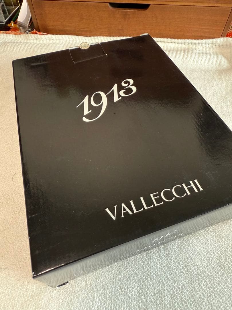 【限定200本｜付属完備】Visconti VALLECCHI 新品未使用