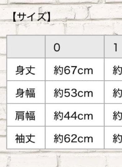 完売品✨STEALTH STELL'A BASIC LOGO HOODIE 0