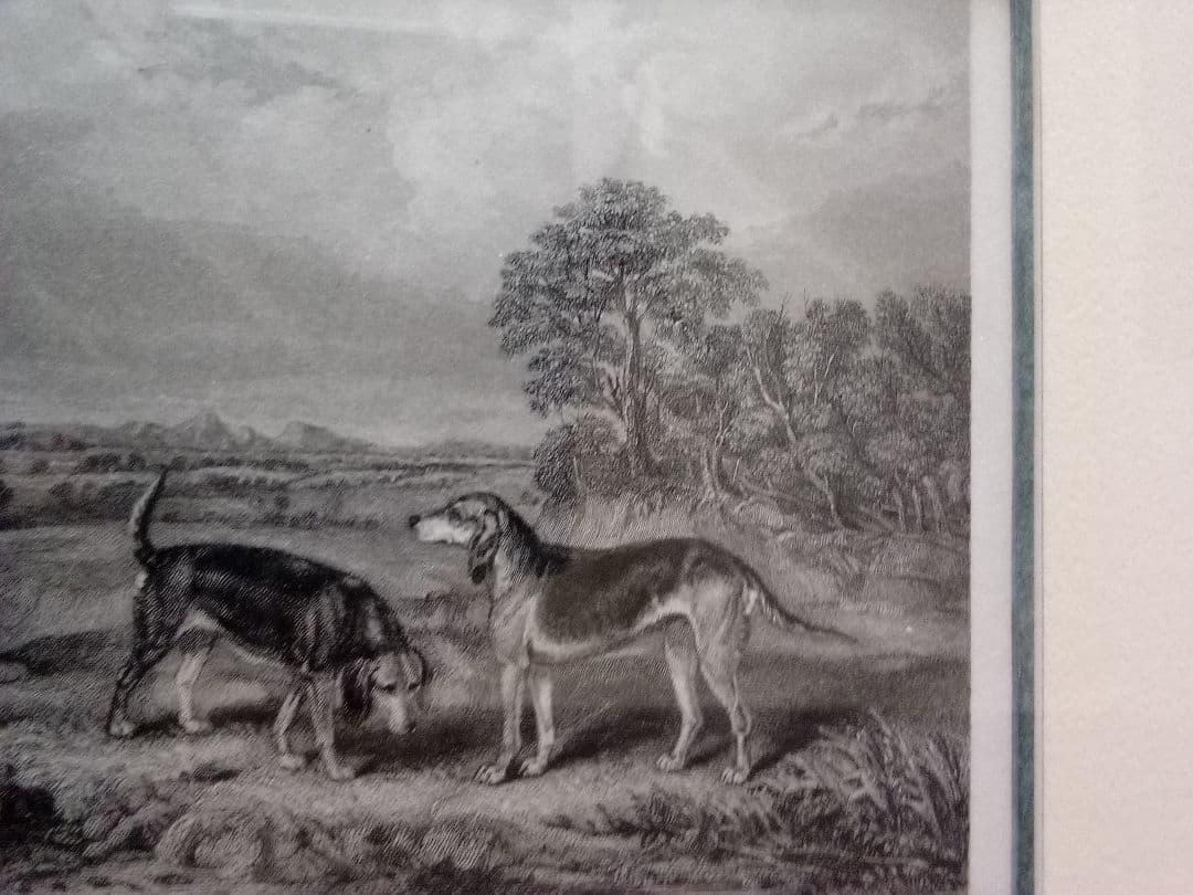 イギリス 銅版画 (エッチング技法) の額装品 猟犬
