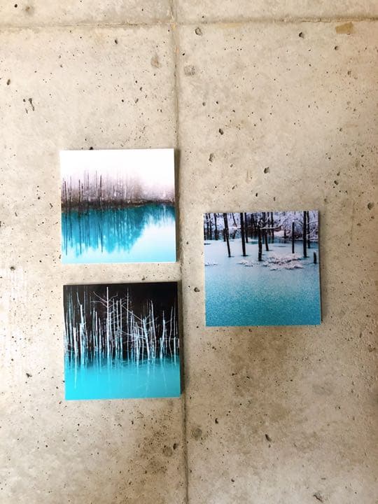 青い池（美瑛）