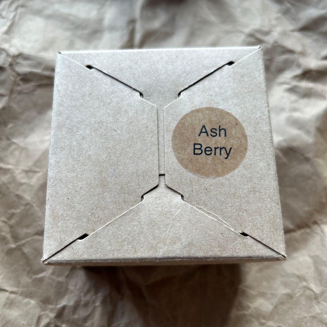 d*2様 アヴァランチ③ カリブ