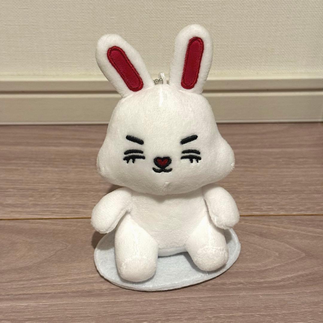 seventeen miniteen マグネット エスクプス チェチェリー