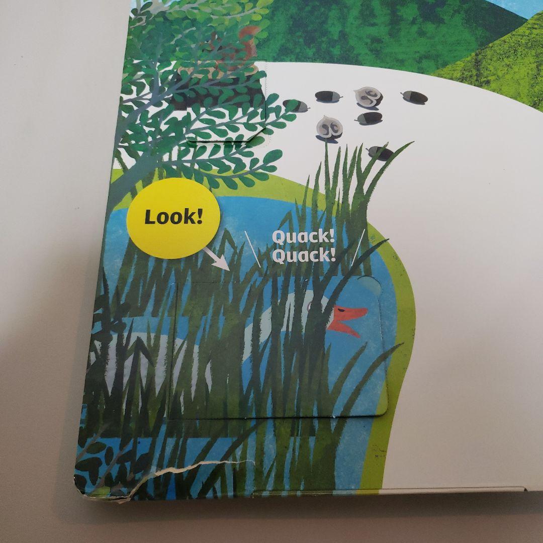 こどもちゃれんじ　イングリッシュ ぽけっと　DVD　しまじろう　DVD ピザ