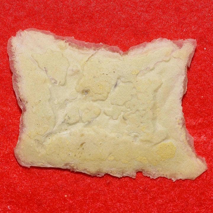 『アンダーワールド』小道具 ライカン族の傷跡