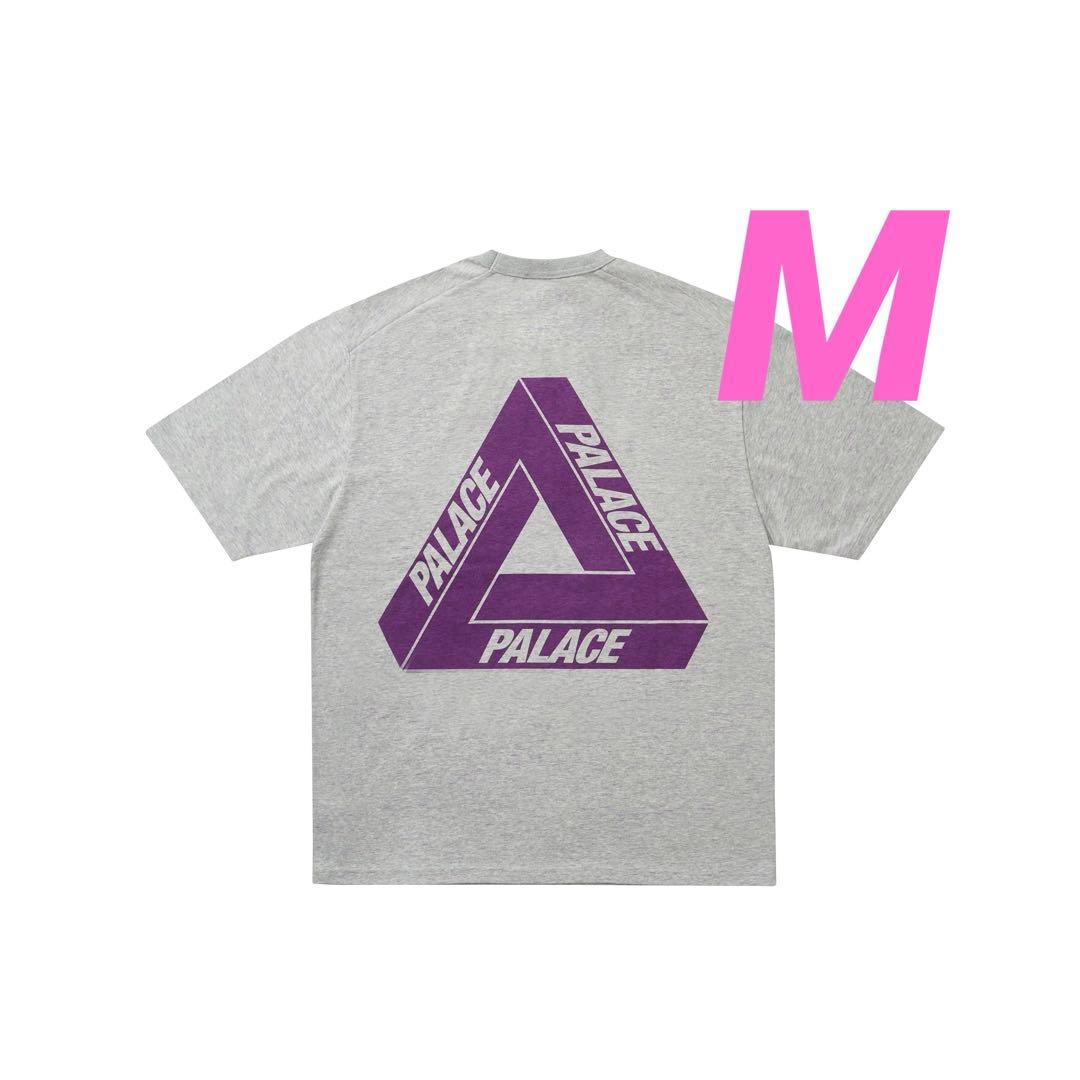 PALACE THE NORTH FACE グラフィックTシャツ グレー