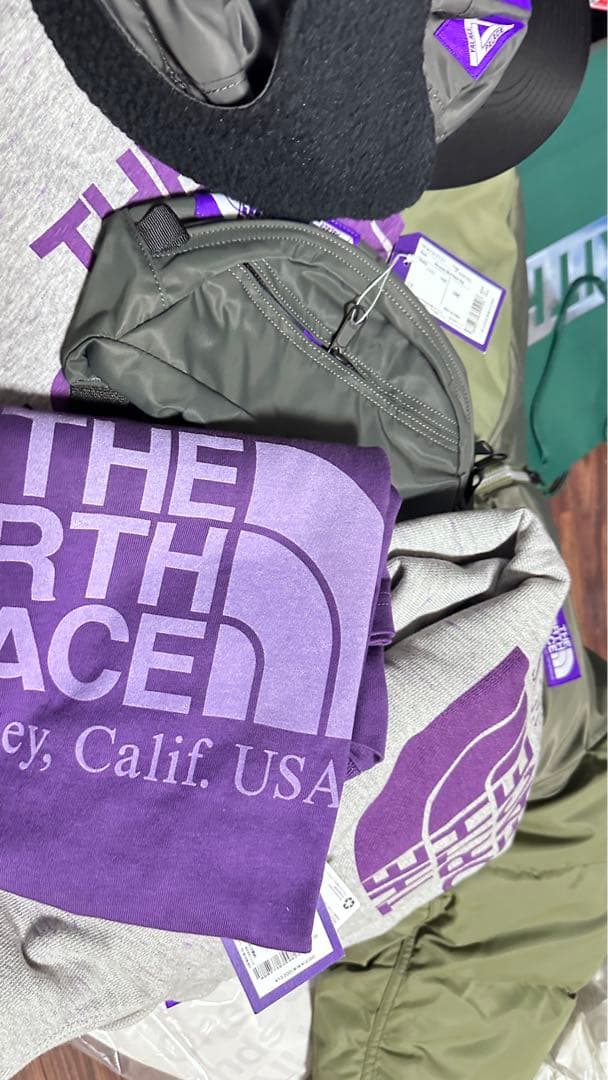 PALACE THE NORTH FACE グラフィックTシャツ グレー