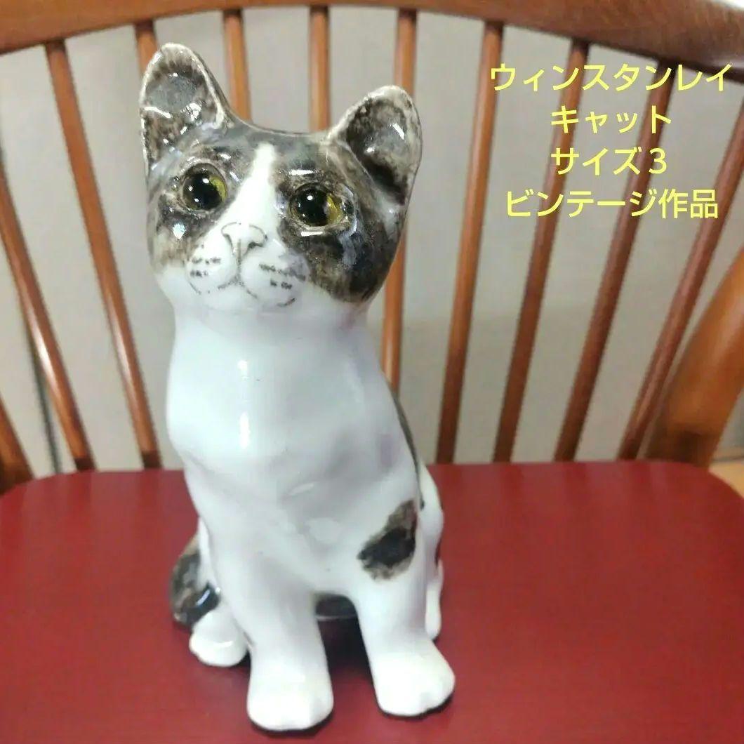 ウィンスタンレイキャット（ケンジントンキャット）ハチワレの子猫、サイズ3