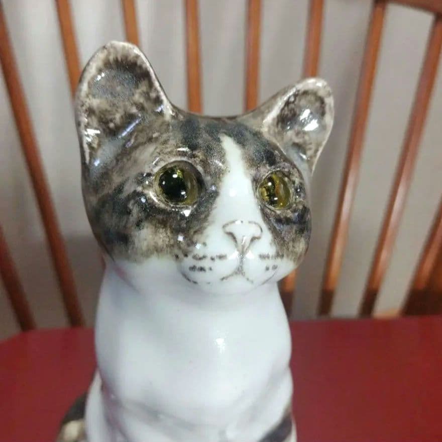 ウィンスタンレイキャット（ケンジントンキャット）ハチワレの子猫、サイズ3