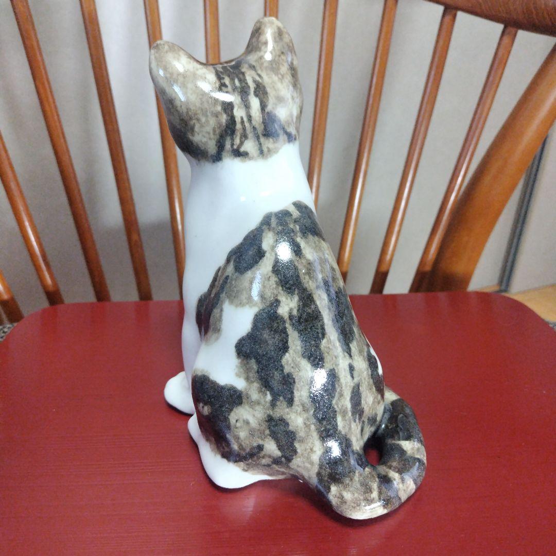 ウィンスタンレイキャット（ケンジントンキャット）ハチワレの子猫、サイズ3