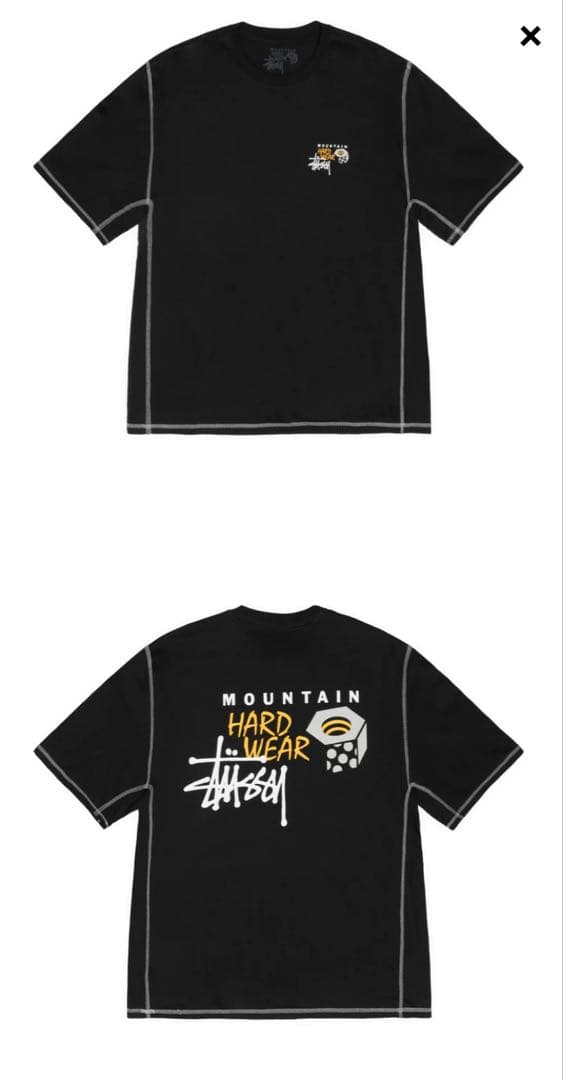 Stussy x Mountain Hardwear Mサイズ
