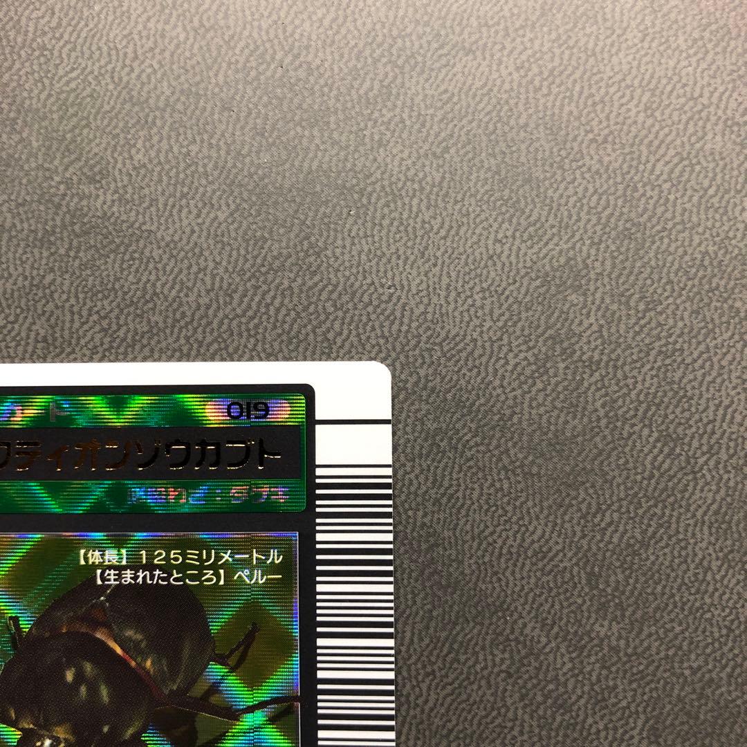 K*K様 ムシキング 2003春 初期 アクティオンゾウカブト 学名黒 ARS