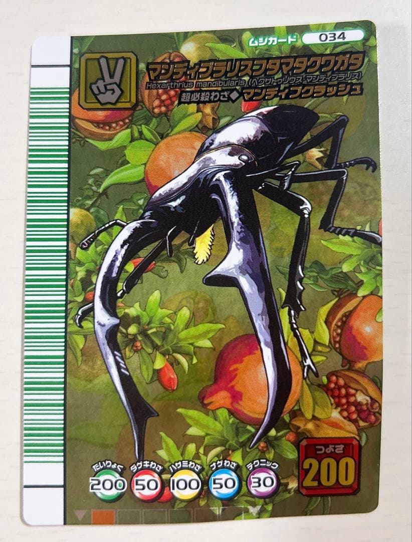 マンディブラリスフタマタクワガタ 5周年コレクション ムシキング