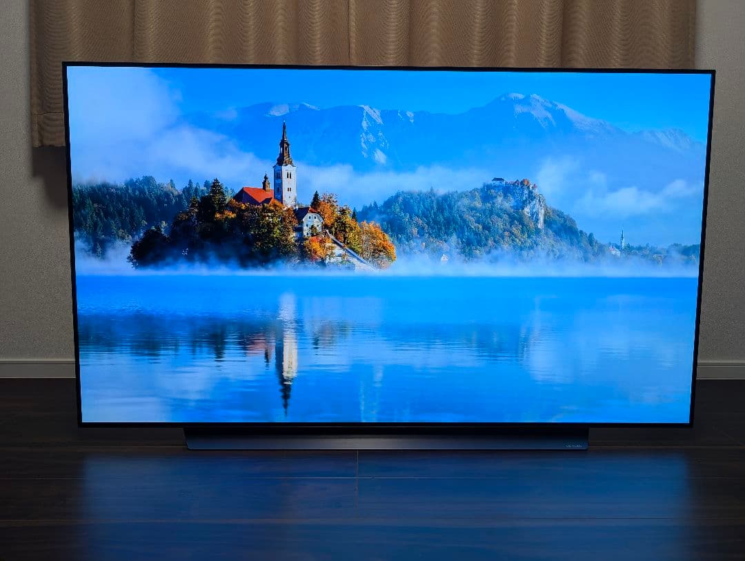 LG 65インチ有機ELテレビ　OLED65CXPJA 難あり