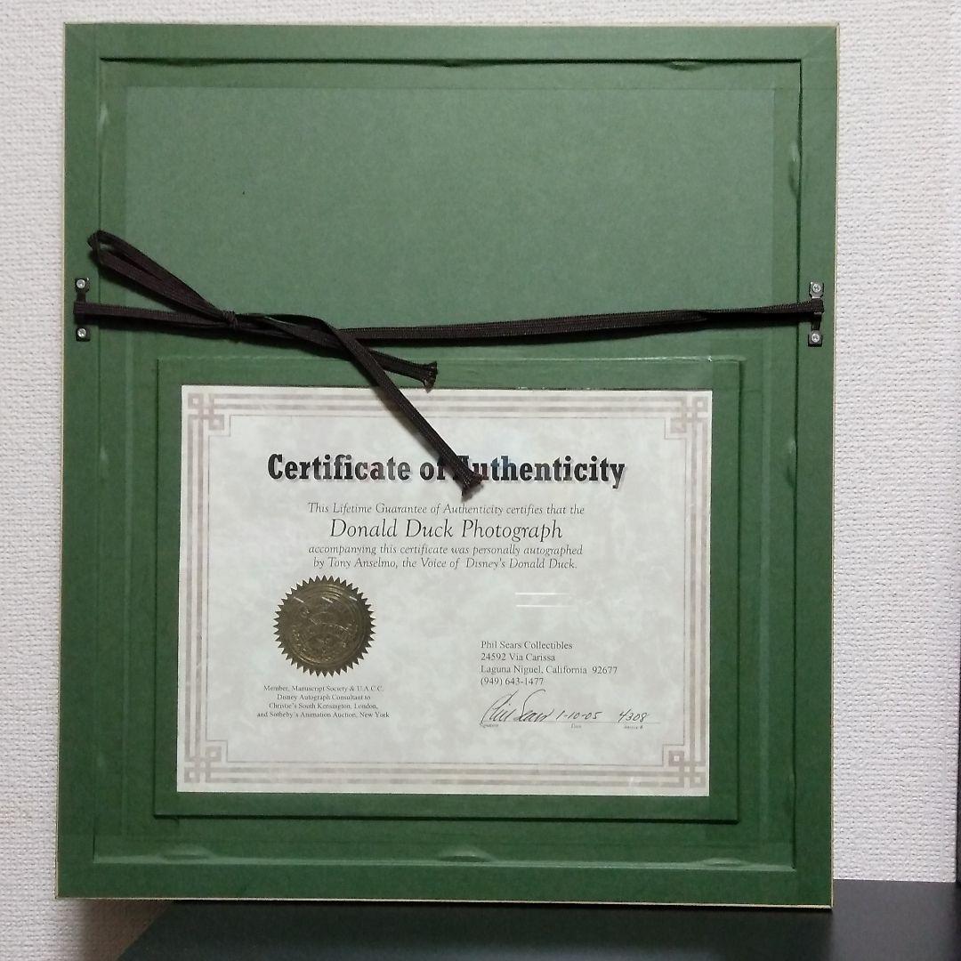 Disney Donald Duck Photograph トニーアンセルモ