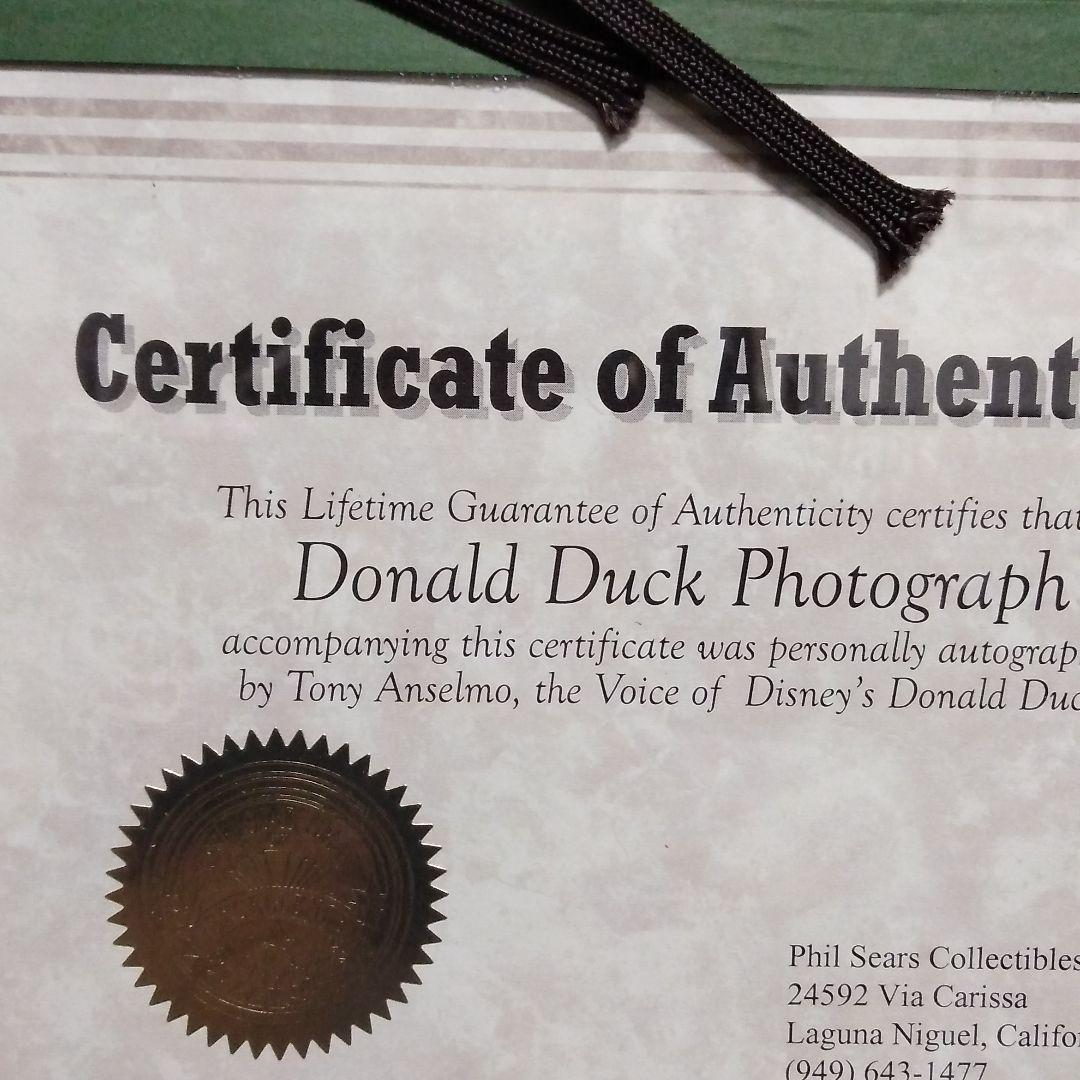 Disney Donald Duck Photograph トニーアンセルモ