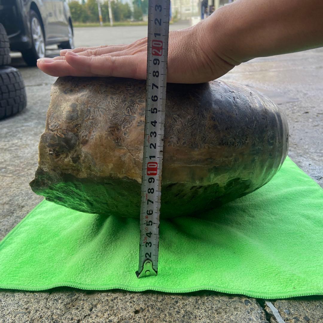 アンモナイト　約32cm