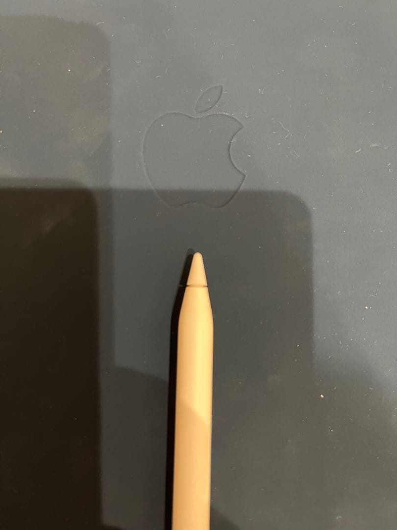 虎*鉄様 iPad Pro 11インチApple Pencil純正　セット　動作