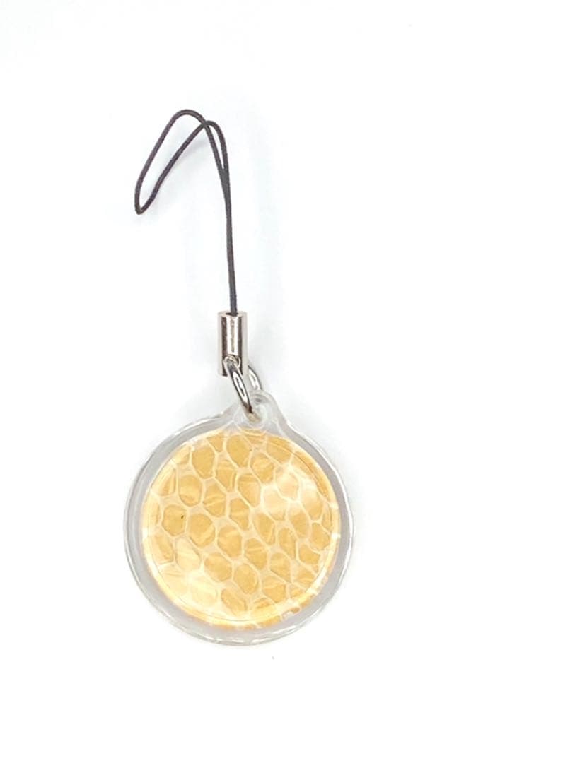 寛永通宝 ✨古銭✨種銭✨福銭✨蛇の抜け殻 ✨白蛇のお守り【天赦日ご祈祷済み】AB