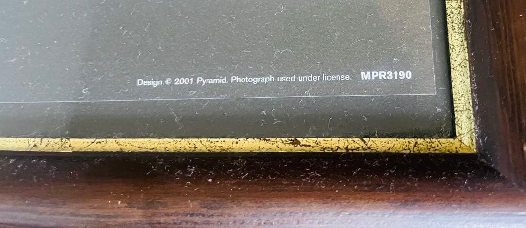 ボブマーリー　レアポスター　額縁入り　レゲエ