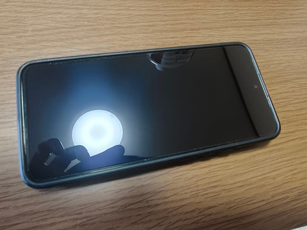 Xiaomi 13T Pro 本体 グリーン