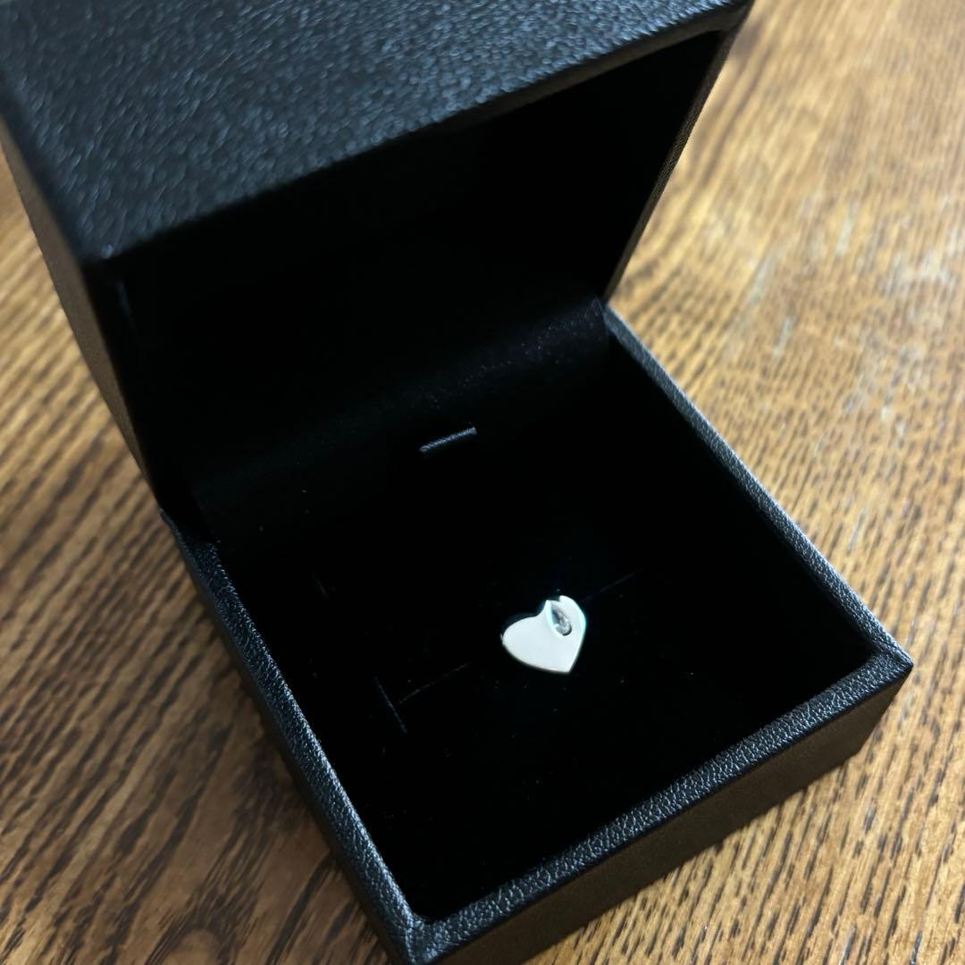 【限定品】岩田剛典 GOD ONLY KNOWS ピアス シルバー