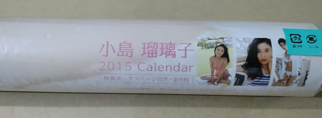 未開封 小島瑠璃子 カレンダー 2015年 CL-176 e