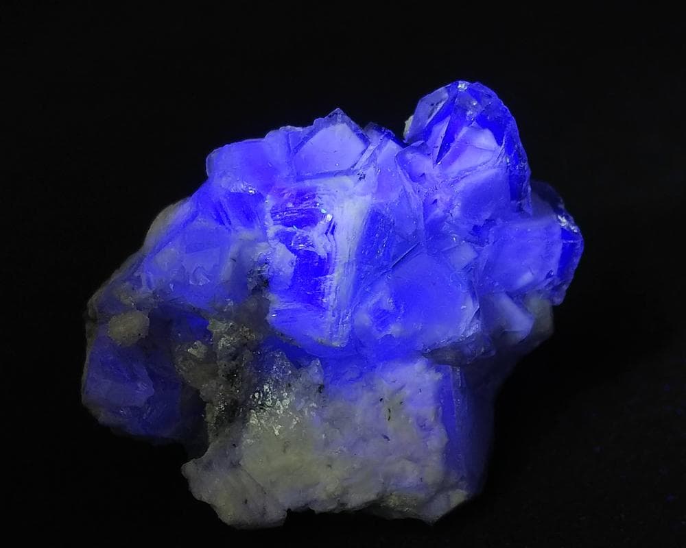 329 ポーセリンフローライト