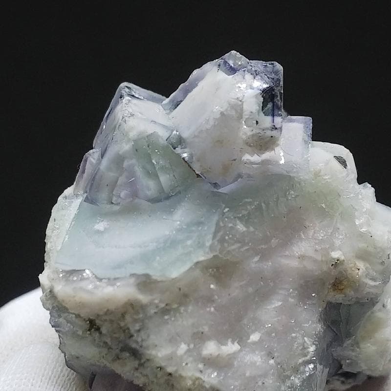 329 ポーセリンフローライト